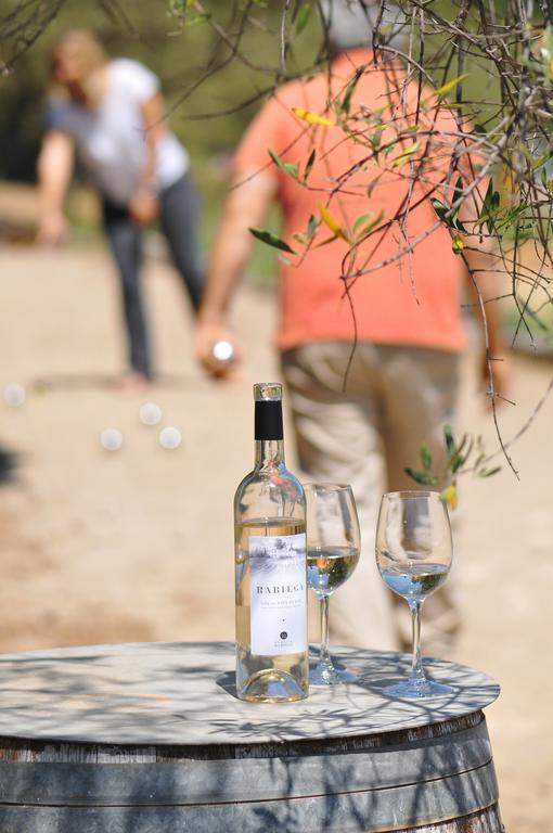 Domaine Rabiega - Vineyard And Boutique Hotel Ντραγκινιάν Εξωτερικό φωτογραφία
